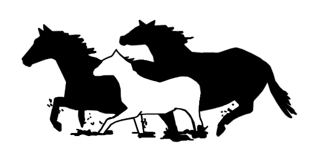 Connecticut Equine Practice Logo 
